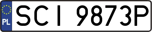 SCI9873P