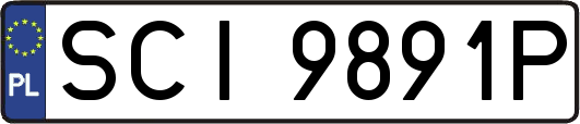 SCI9891P