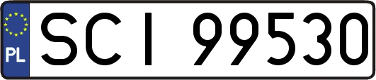 SCI99530