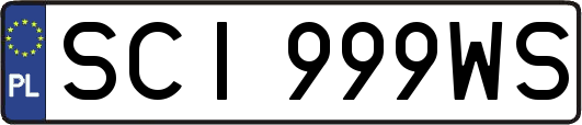 SCI999WS