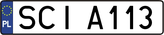 SCIA113