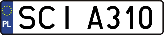 SCIA310