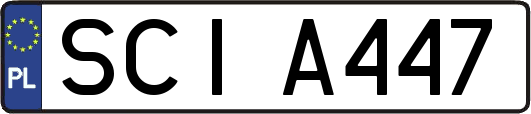 SCIA447