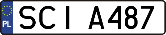 SCIA487