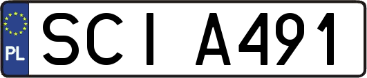 SCIA491