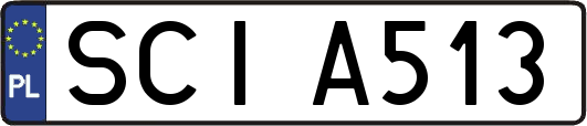 SCIA513