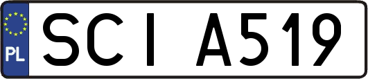 SCIA519