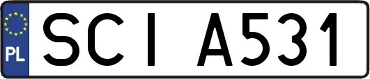 SCIA531