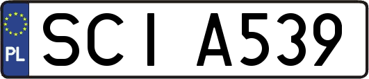 SCIA539