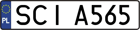 SCIA565