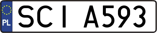 SCIA593