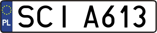 SCIA613