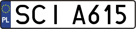 SCIA615