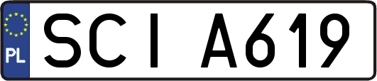 SCIA619
