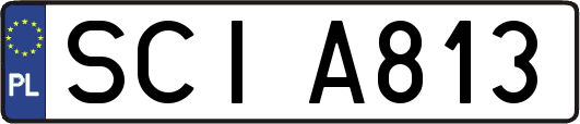 SCIA813