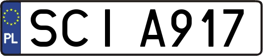 SCIA917