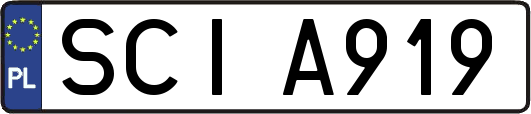 SCIA919