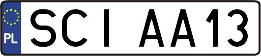 SCIAA13