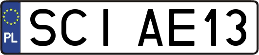 SCIAE13