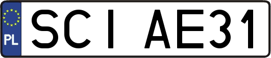 SCIAE31