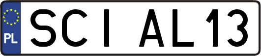 SCIAL13