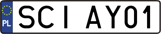 SCIAY01