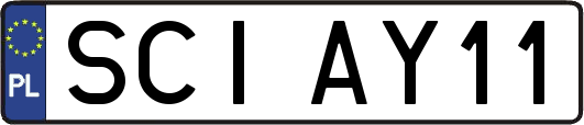 SCIAY11
