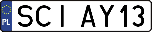 SCIAY13