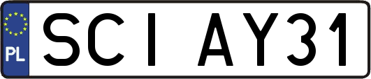 SCIAY31