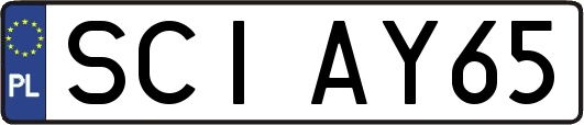 SCIAY65