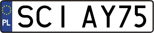 SCIAY75