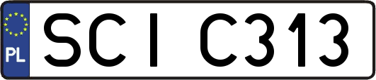 SCIC313