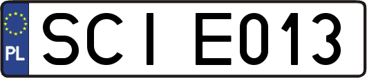 SCIE013