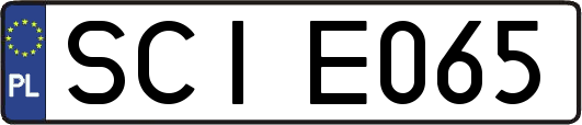 SCIE065