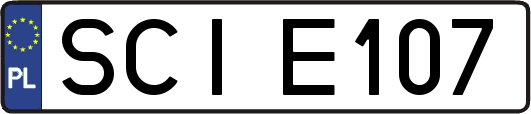 SCIE107