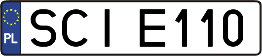 SCIE110
