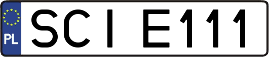 SCIE111