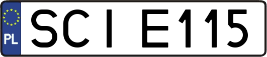 SCIE115