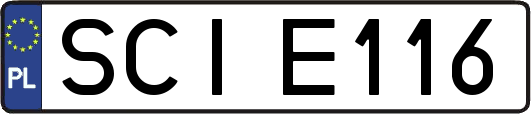 SCIE116