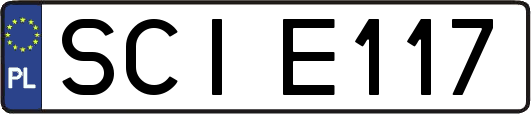 SCIE117