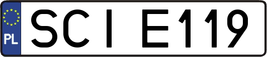 SCIE119