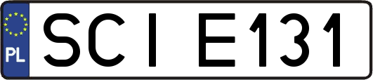 SCIE131