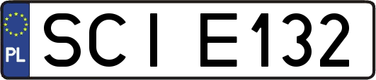 SCIE132