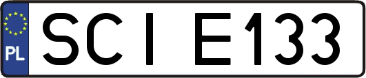 SCIE133