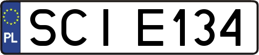 SCIE134