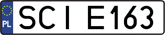 SCIE163