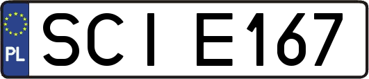 SCIE167