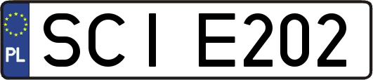 SCIE202