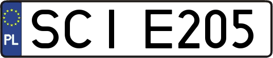 SCIE205