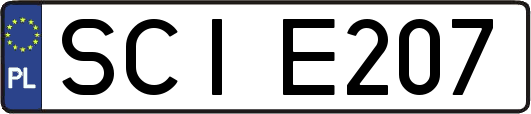SCIE207